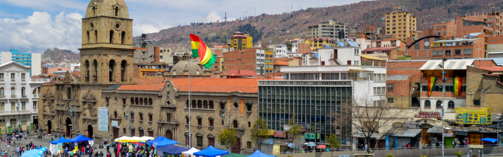 Virtual Global & Public Health Internship - Bolivia - CFHI